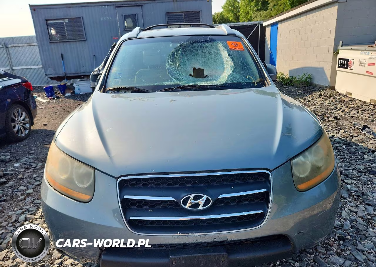 2009 Hyundai Santa Fe Limited VIN:5NMSH73E89H289529 - 5