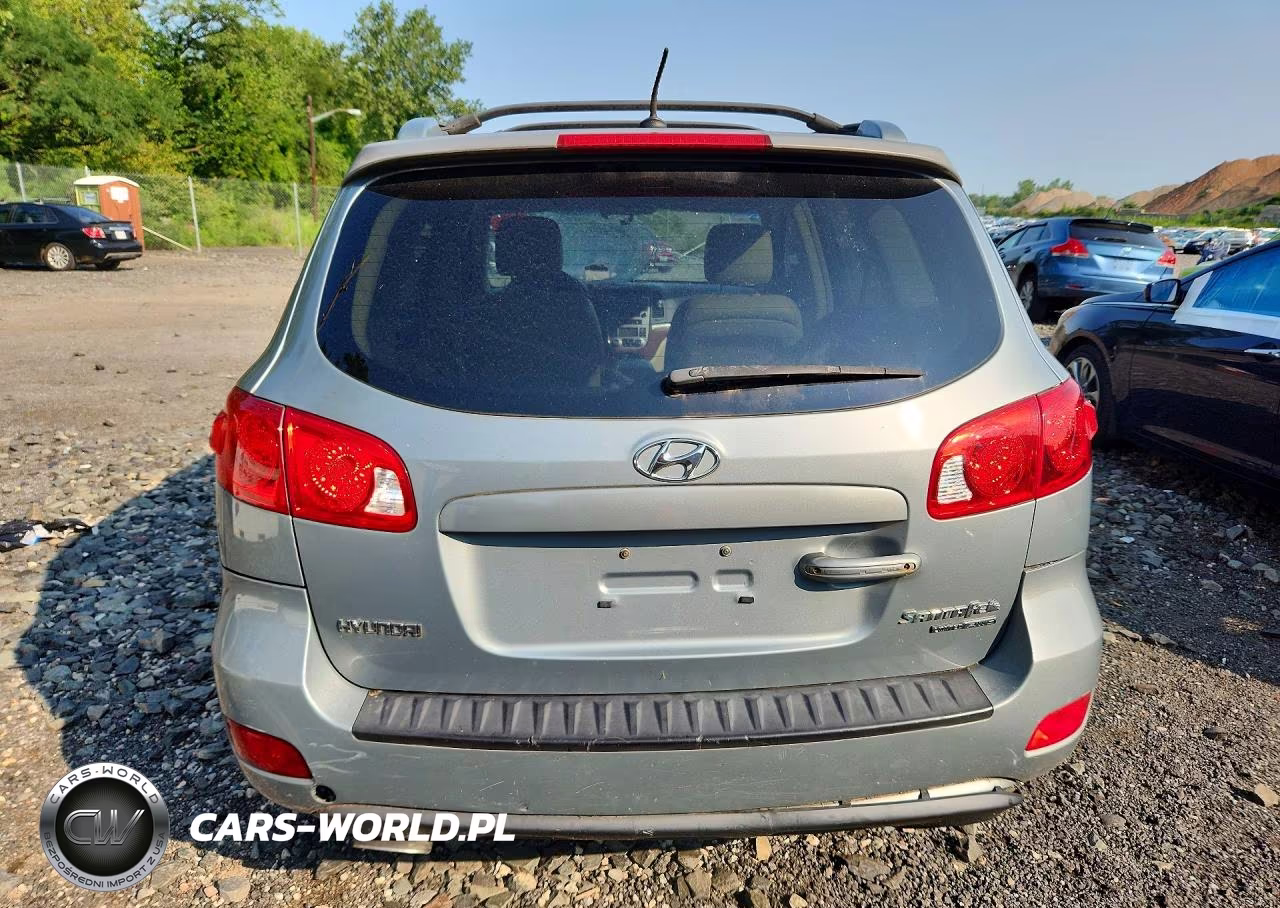 2009 Hyundai Santa Fe Limited VIN:5NMSH73E89H289529 - 6