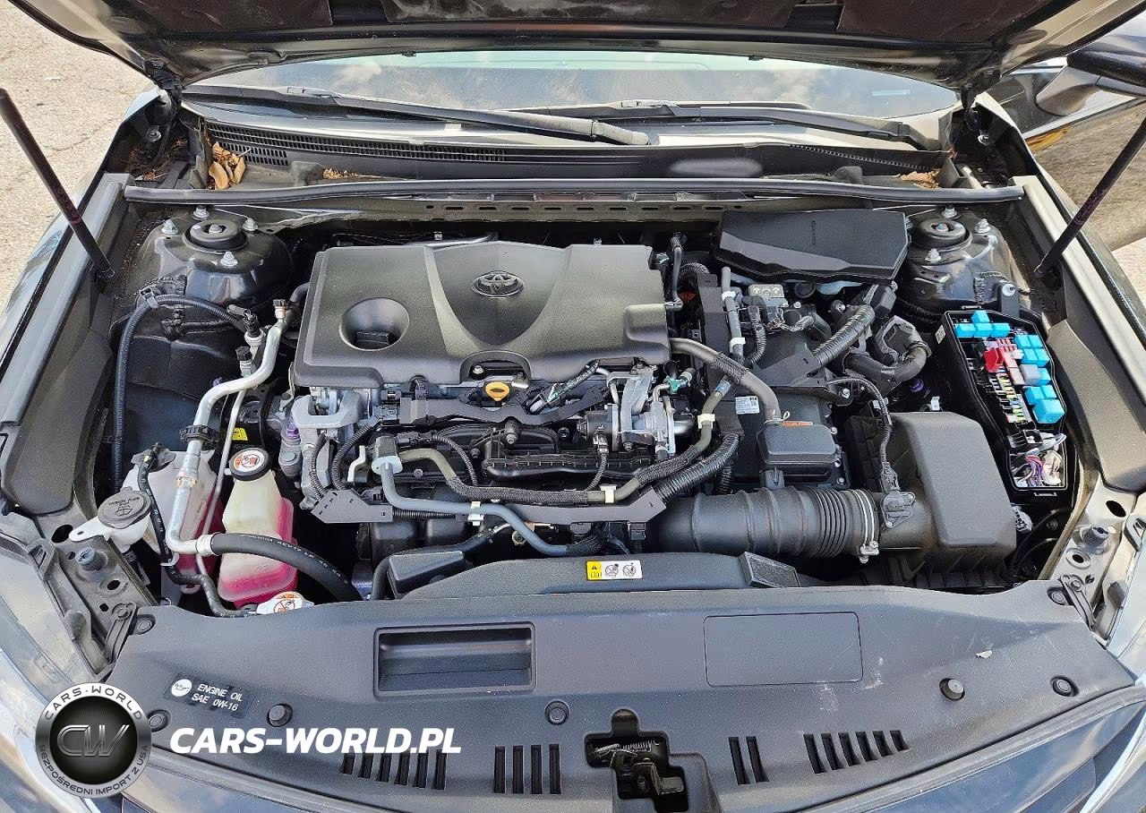 2019 Toyota Camry Le VIN:4T1B31HK1KU005419 - 11