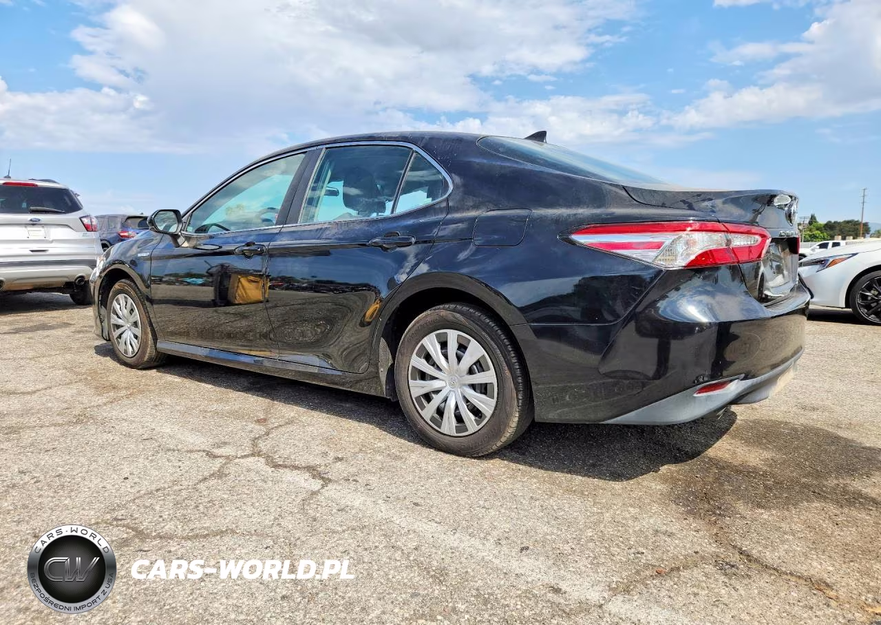 2019 Toyota Camry Le VIN:4T1B31HK1KU005419 - 2