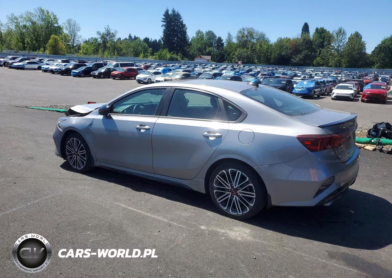 2024 Kia Forte Gt VIN:3KPF44ACXRE710445 - 2