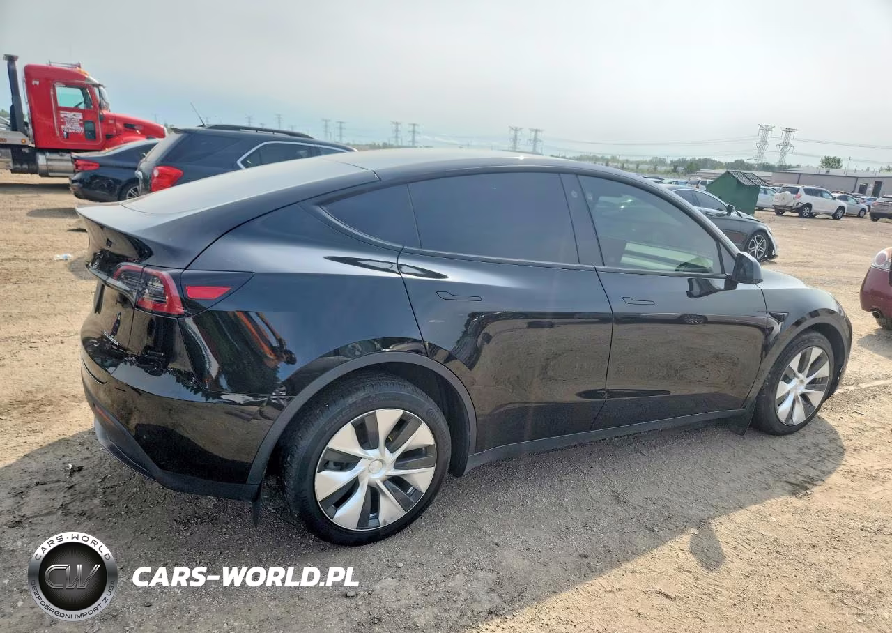 2023 Tesla Model Y VIN:7SAYGDEE2PF668455 - 3