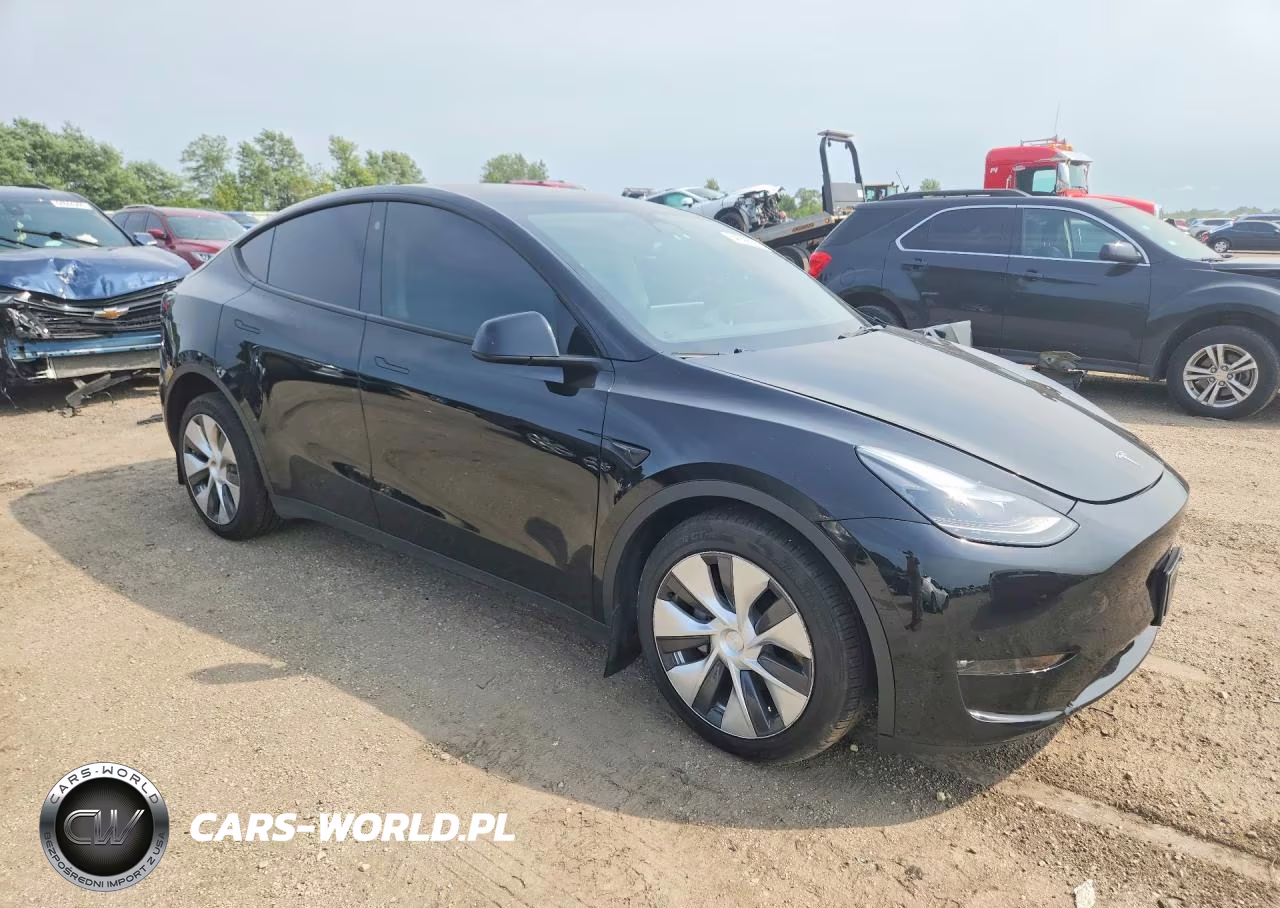 2023 Tesla Model Y VIN:7SAYGDEE2PF668455 - 4