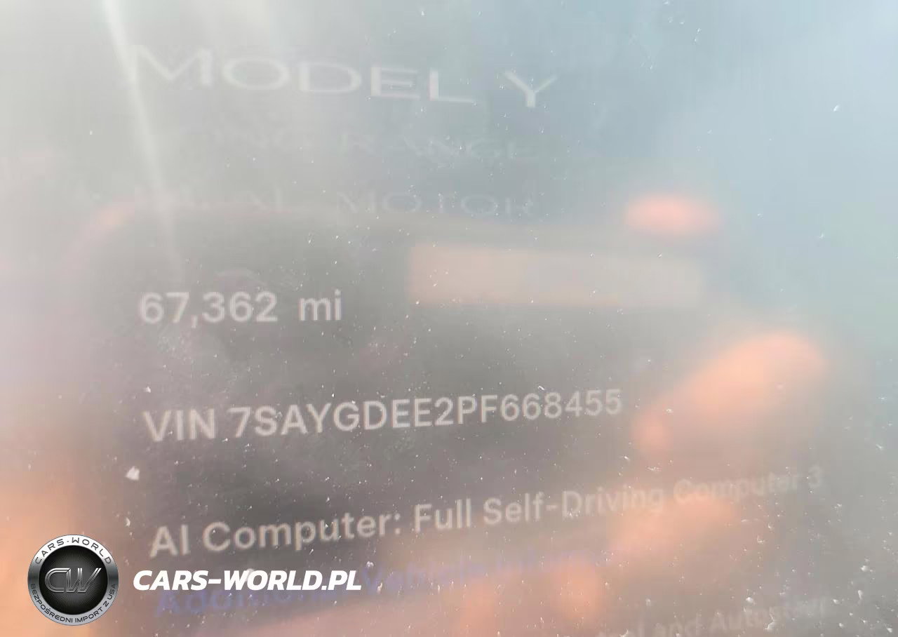 2023 Tesla Model Y VIN:7SAYGDEE2PF668455 - 9
