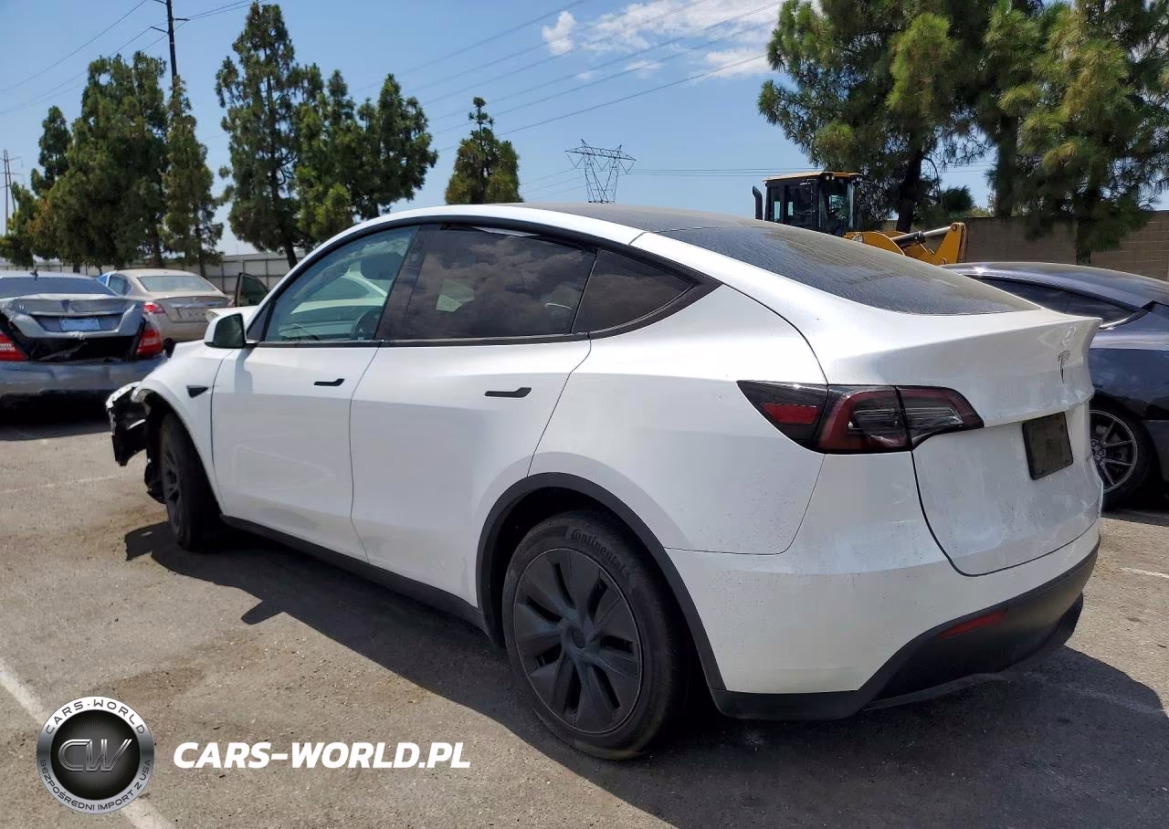 2024 Tesla Model Y VIN:7SAYGDEE7RF114721 - 2