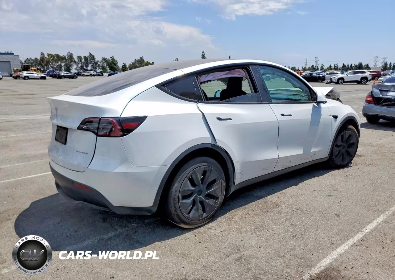 2024 Tesla Model Y VIN:7SAYGDEE7RF114721 - 3