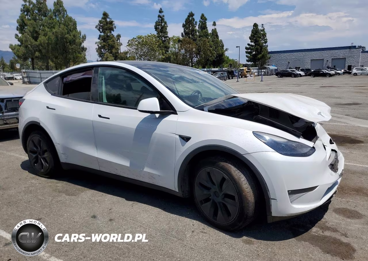 2024 Tesla Model Y VIN:7SAYGDEE7RF114721 - 4