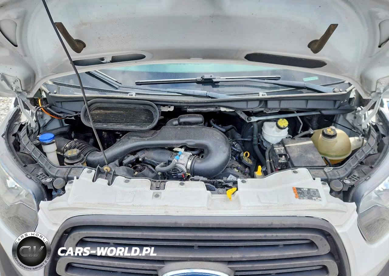 2019 Ford Transit 150 Delivery Van VIN:1FTYE2CM8KKB32459 - 12