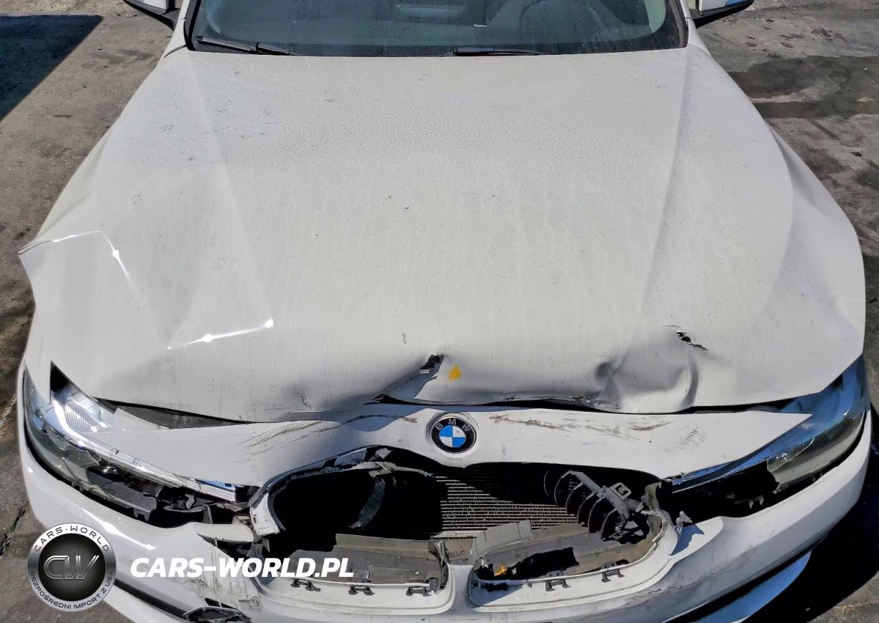 2017 BMW 320 I VIN:WBA8A9C50HK619917 - 11