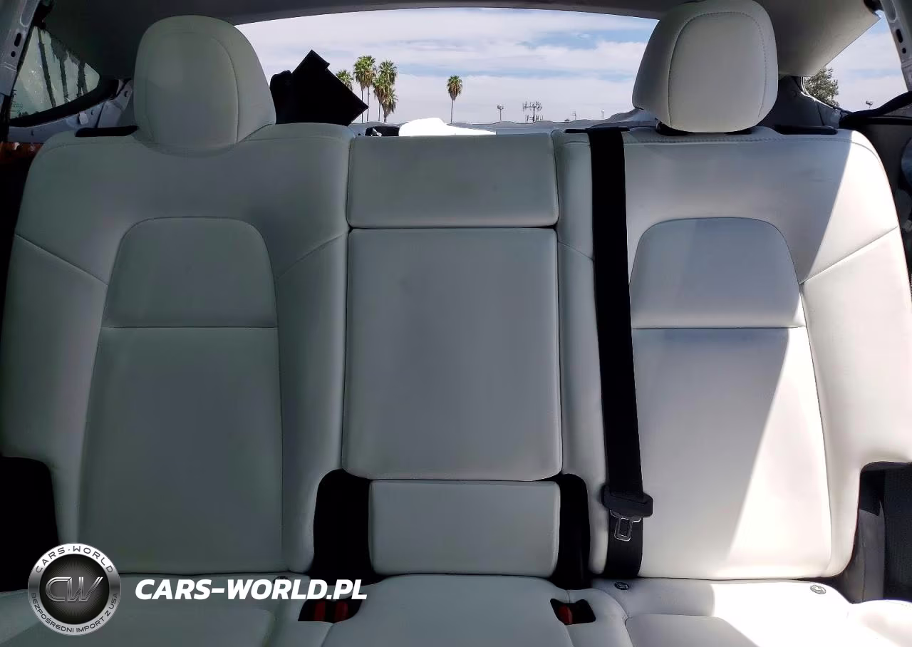2023 Tesla Model Y VIN:7SAYGDEE2PF632653 - 10