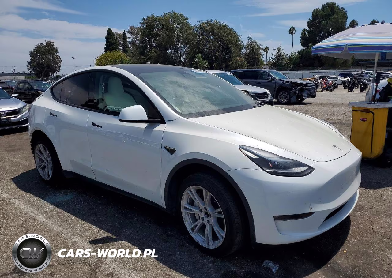 2023 Tesla Model Y VIN:7SAYGDEE2PF632653 - 4