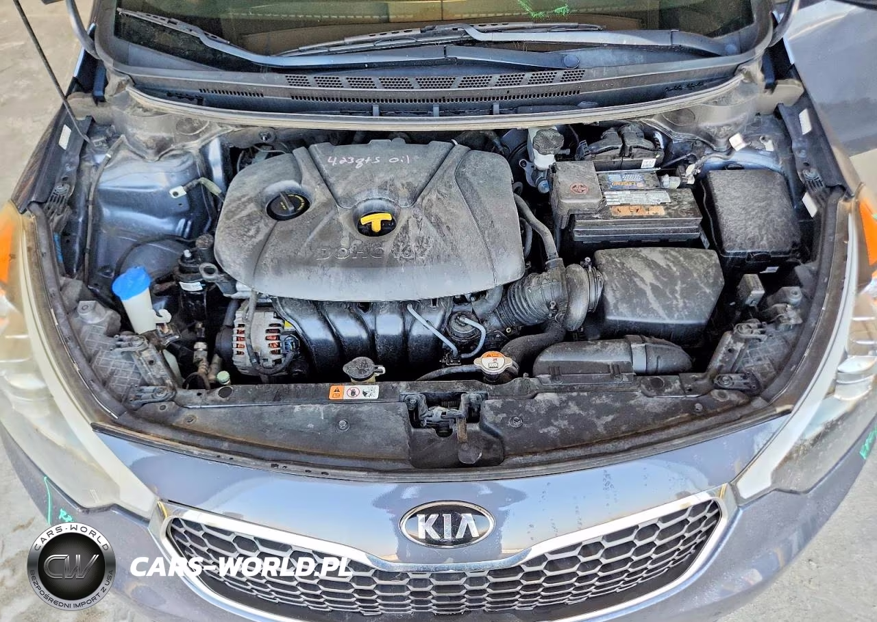 2016 Kia Forte Lx VIN:KNAFK4A65G5468248 - 11