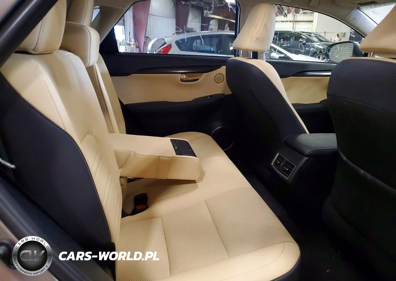 2020 Lexus Nx 300H VIN:JTJDJRDZ5L2146279 - 10