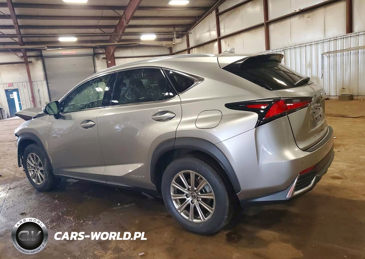 2020 Lexus Nx 300H VIN:JTJDJRDZ5L2146279 - 2