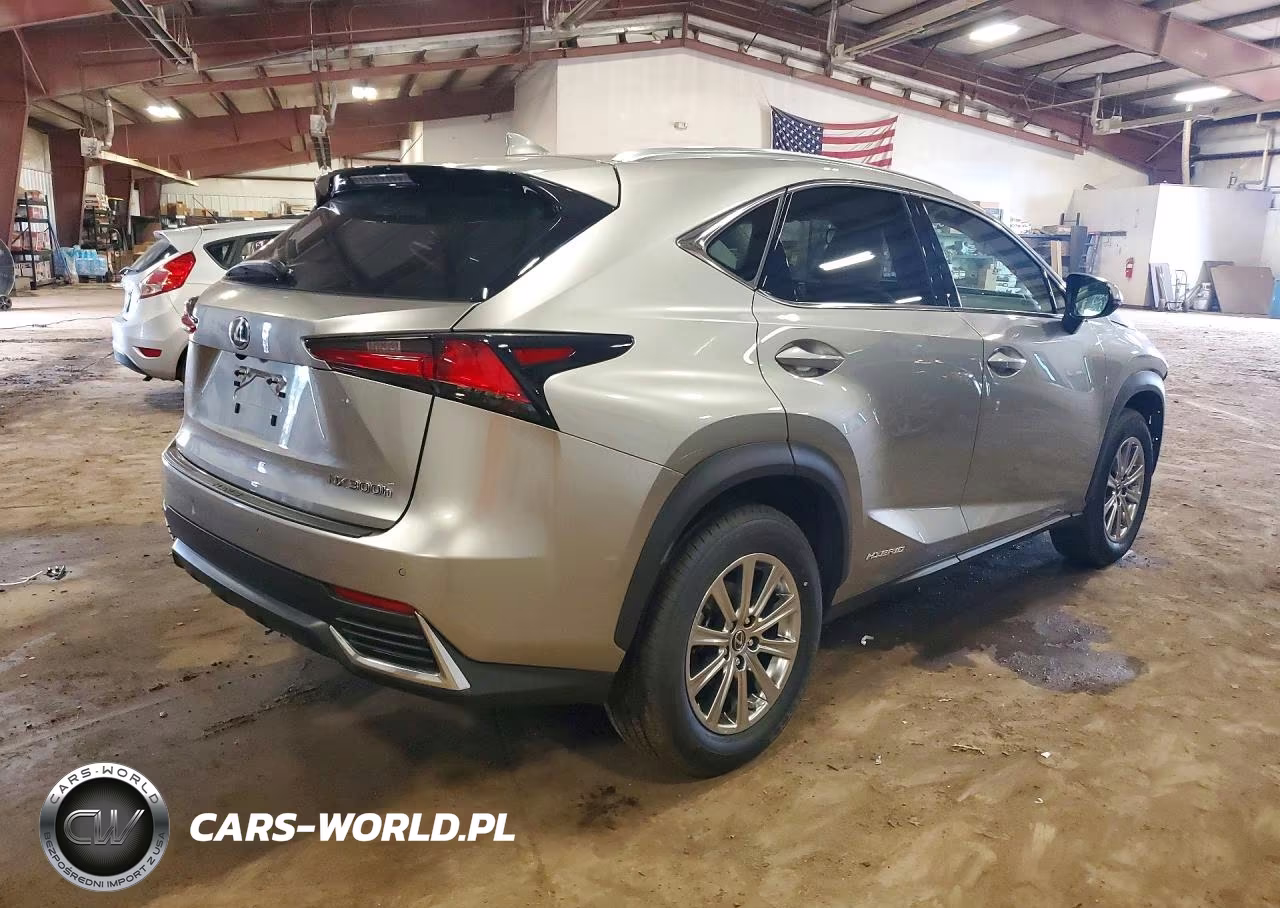 2020 Lexus Nx 300H VIN:JTJDJRDZ5L2146279 - 3