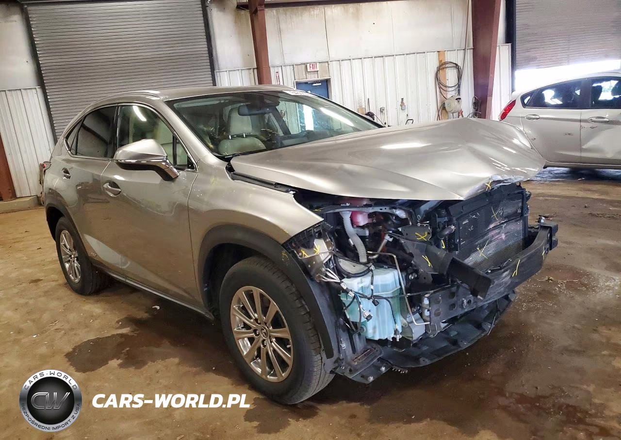 2020 Lexus Nx 300H VIN:JTJDJRDZ5L2146279 - 4