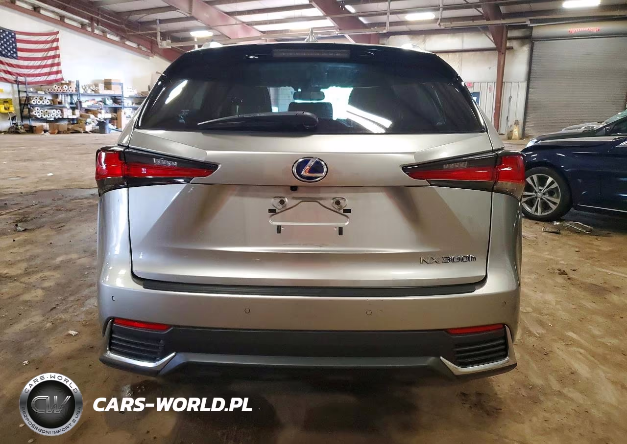 2020 Lexus Nx 300H VIN:JTJDJRDZ5L2146279 - 6