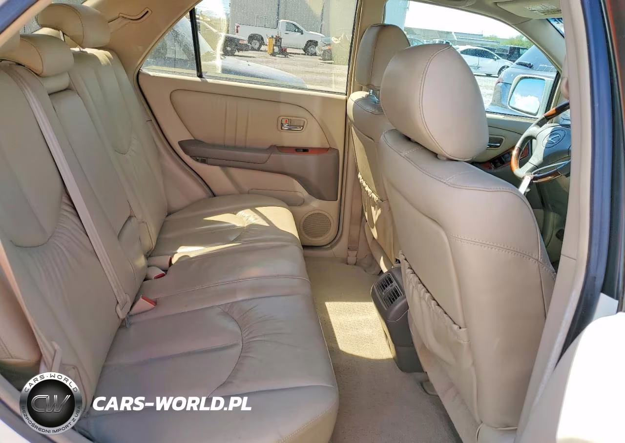 2002 Lexus Rx 300 VIN:JTJHF10U720244111 - 10