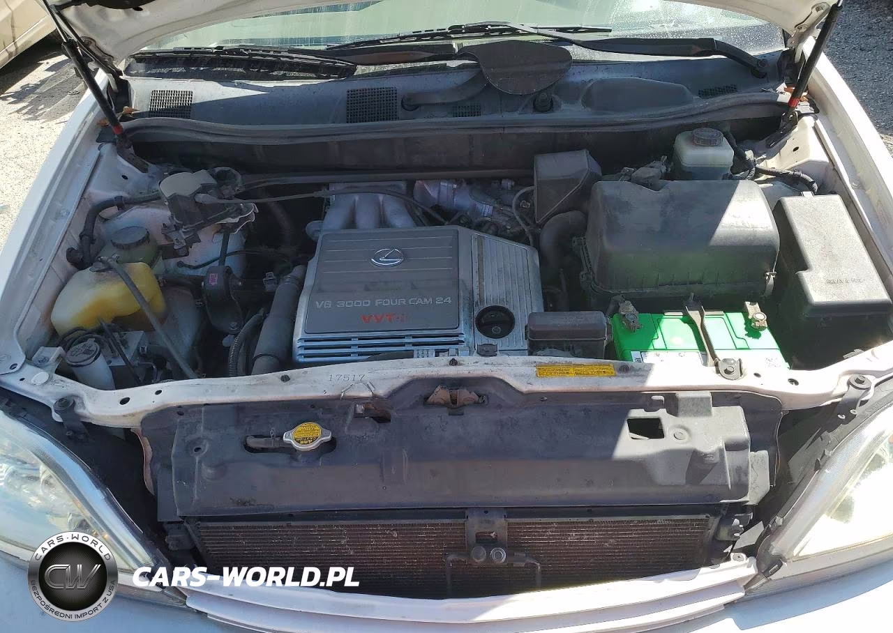2002 Lexus Rx 300 VIN:JTJHF10U720244111 - 11