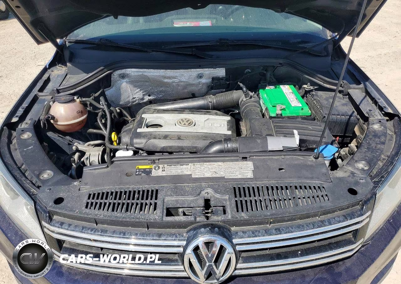 2014 Volkswagen Tiguan S VIN:WVGBV3AXXEW545551 - 11