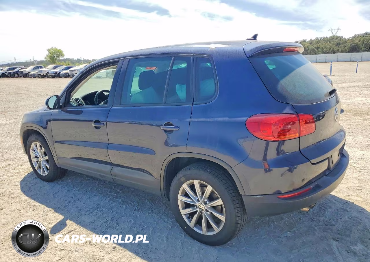 2014 Volkswagen Tiguan S VIN:WVGBV3AXXEW545551 - 2