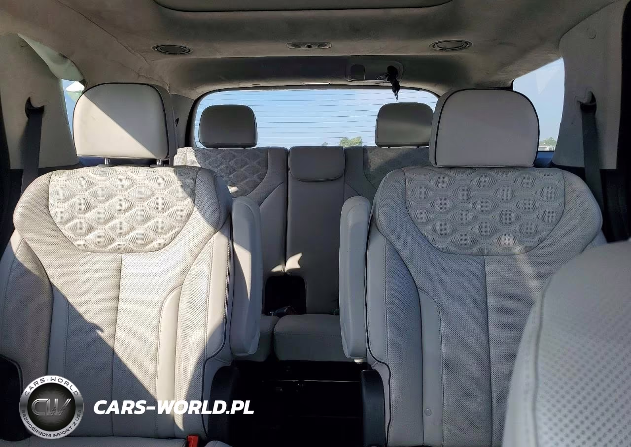 2022 Hyundai Palisade Calligraphy VIN:KM8R7DHE4NU481330 - 10
