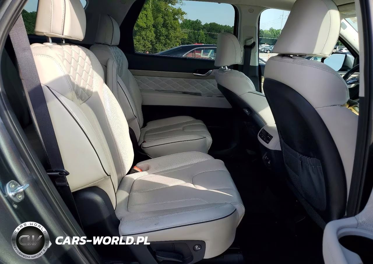 2022 Hyundai Palisade Calligraphy VIN:KM8R7DHE4NU481330 - 11