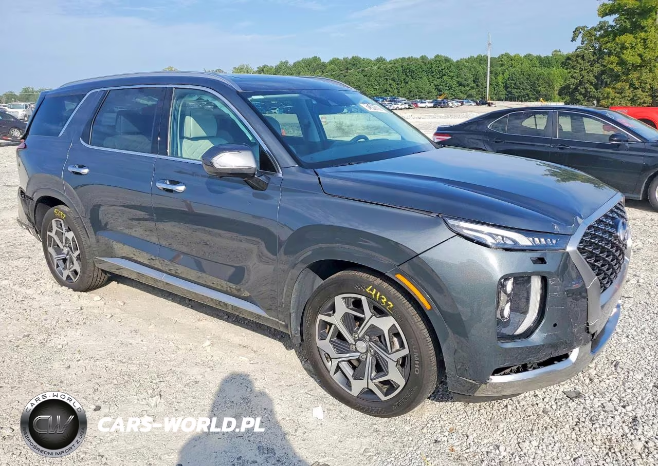2022 Hyundai Palisade Calligraphy VIN:KM8R7DHE4NU481330 - 4