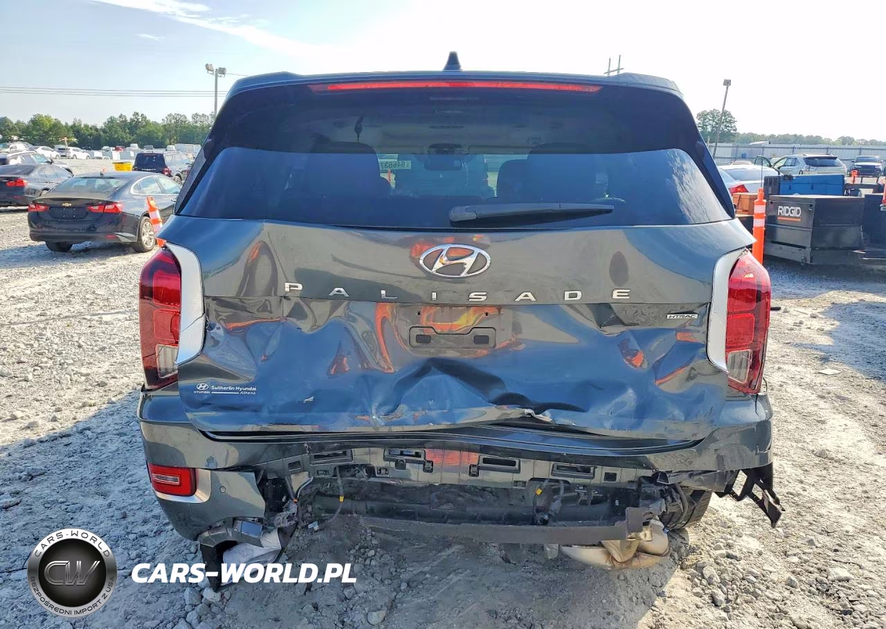 2022 Hyundai Palisade Calligraphy VIN:KM8R7DHE4NU481330 - 6