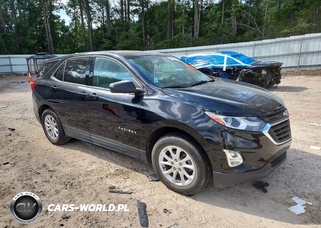 2019 Chevrolet Equinox Ls VIN:3GNAXHEV2KL381821 - 4