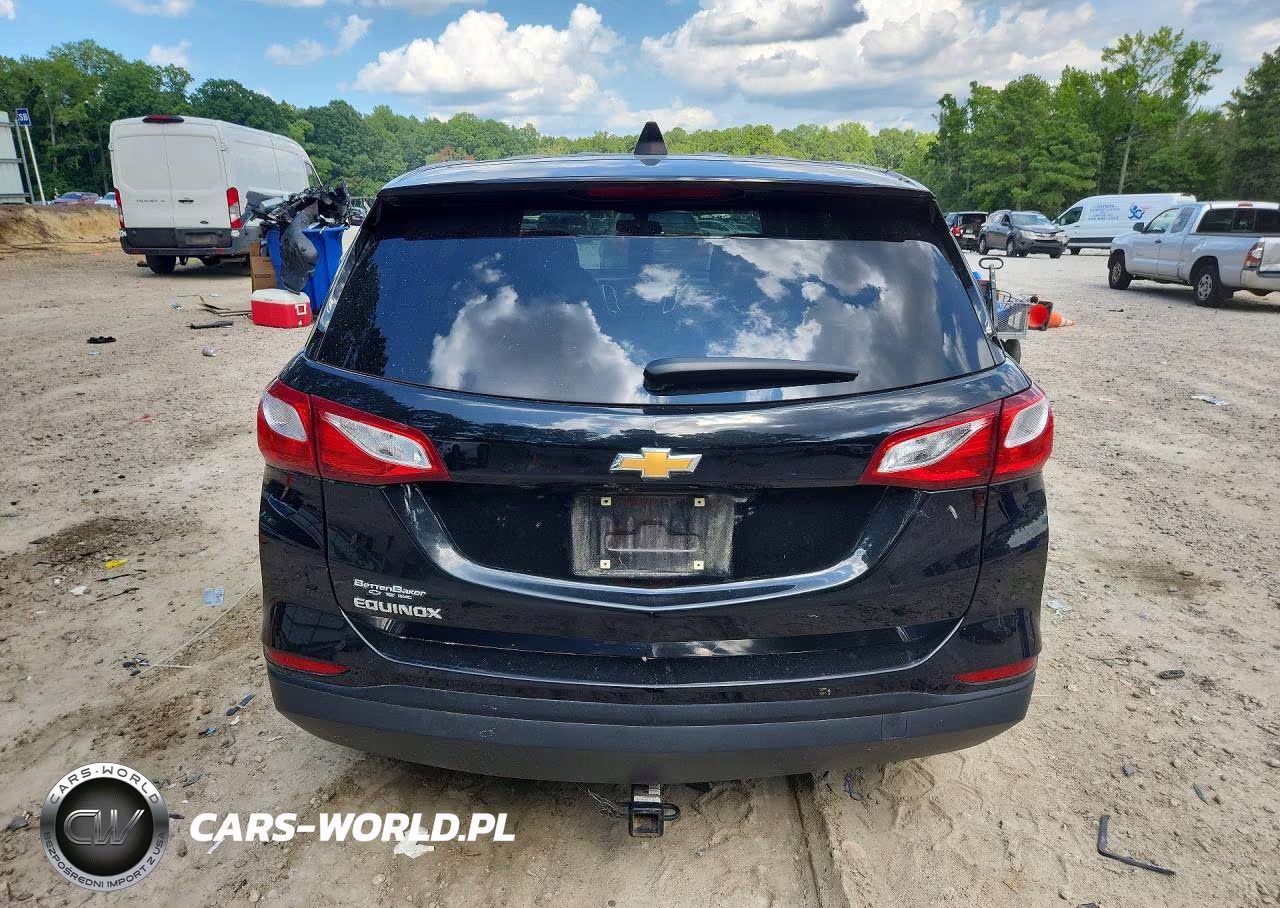 2019 Chevrolet Equinox Ls VIN:3GNAXHEV2KL381821 - 6