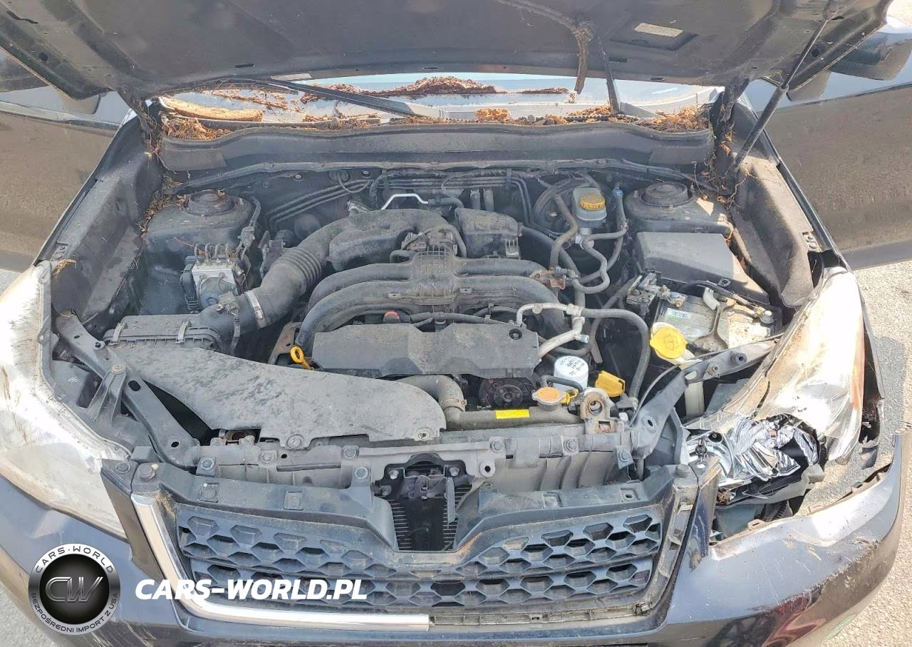 2015 Subaru Forester 2.5I Premium VIN:JF2SJADC0FH538113 - 11