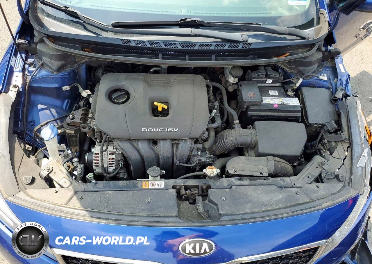 2018 Kia Forte Lx VIN:3KPFL4A78JE262362 - 11