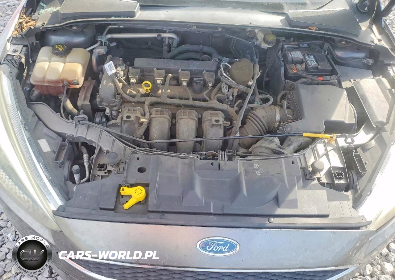 2015 Ford Focus Se VIN:1FADP3F22FL239604 - 11