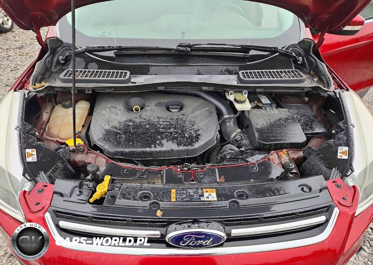 2014 Ford Escape Titanium VIN:1FMCU9J99EUB13556 - 12