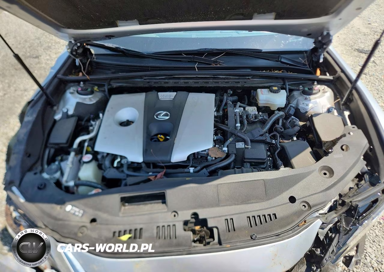 2019 Lexus Es 300H VIN:JTHB21B1XK2021006 - 11