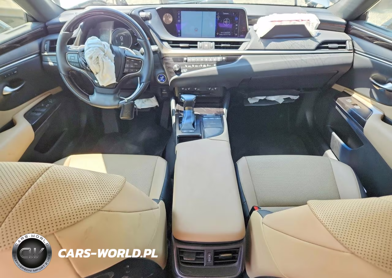 2019 Lexus Es 300H VIN:JTHB21B1XK2021006 - 8