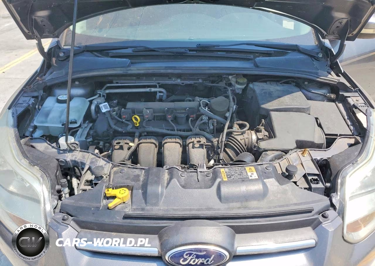 2014 Ford Focus Se VIN:1FADP3K25EL368716 - 11