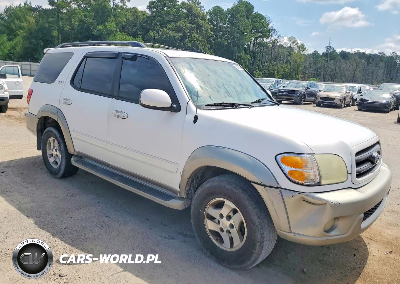 2004 Toyota Sequoia VIN:5TDZT34A24S223968 - 4