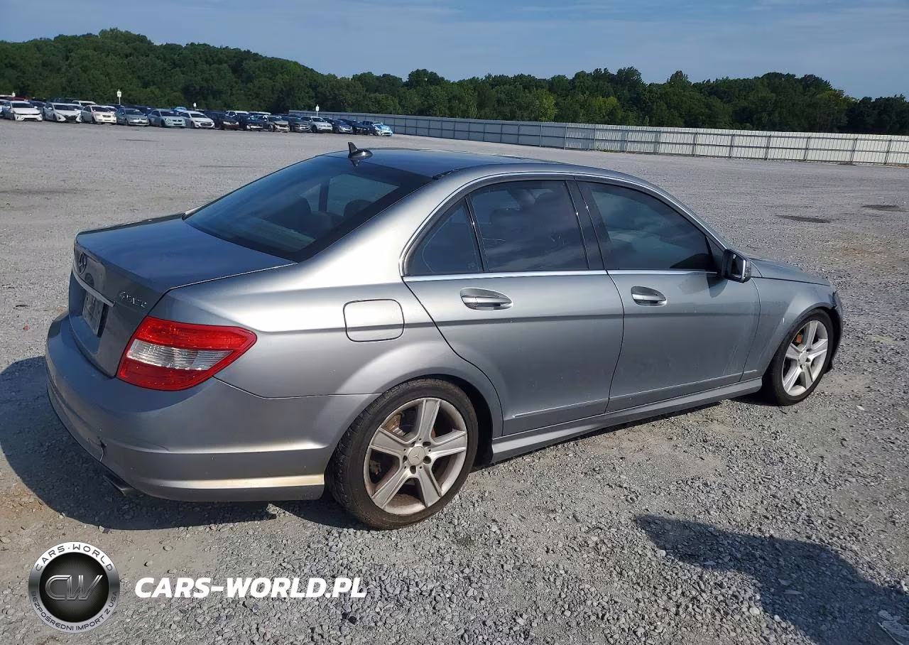 2010 Mercedes-Benz C 300 4Matic VIN:WDDGF8BB5AR100866 - 3