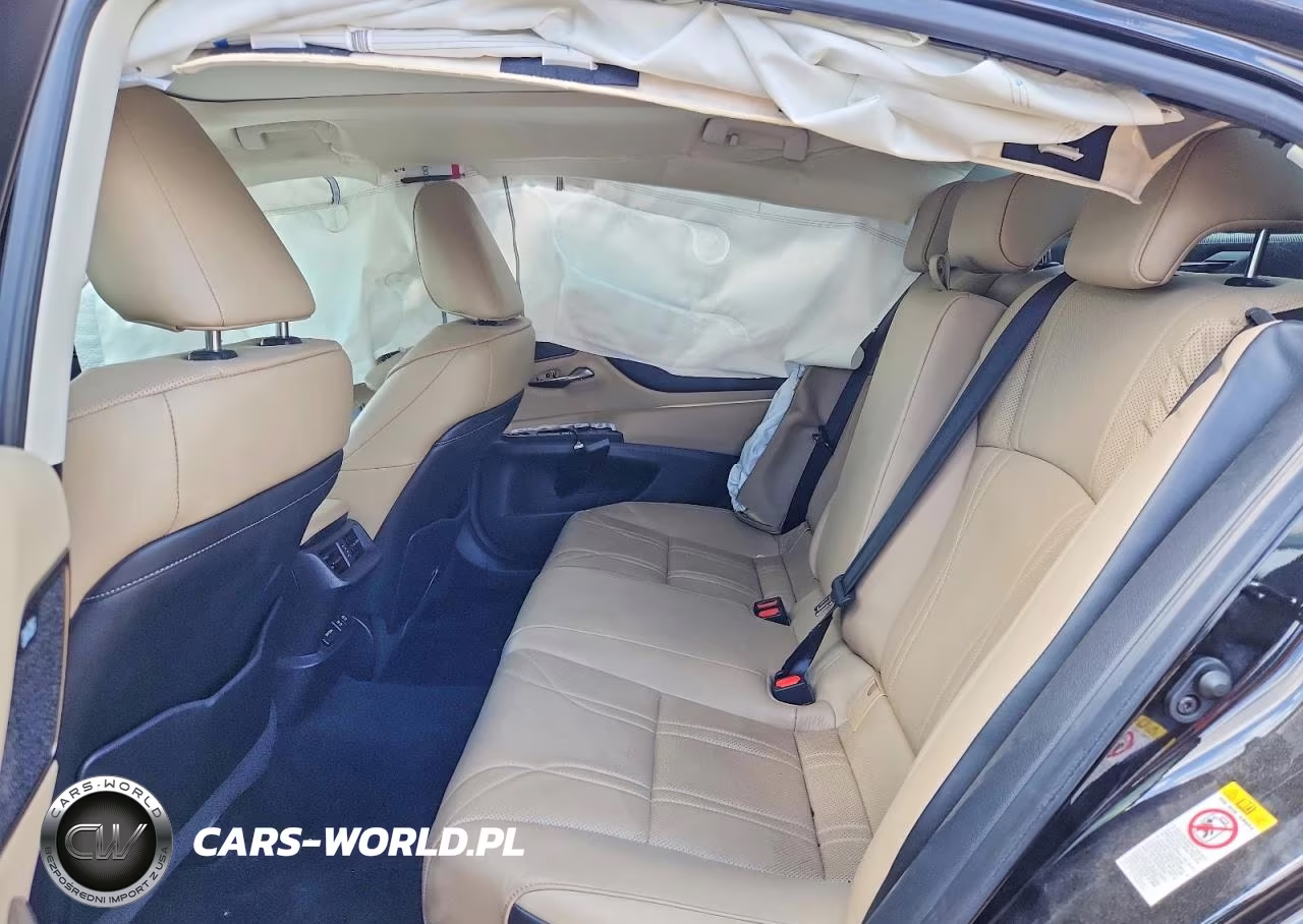 2019 Lexus Es 350 VIN:58ABZ1B1XKU031220 - 10