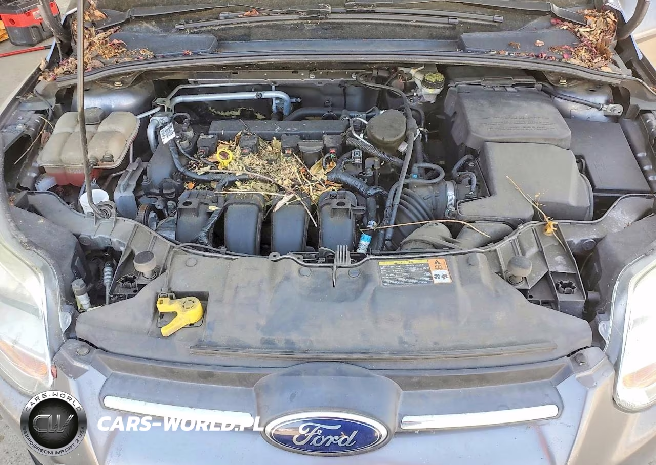 2014 Ford Focus Se VIN:1FADP3F26EL265203 - 11