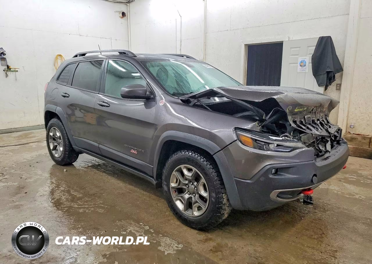 2019 Jeep Cherokee Trailhawk VIN:1C4PJMBX7KD398879 - 4