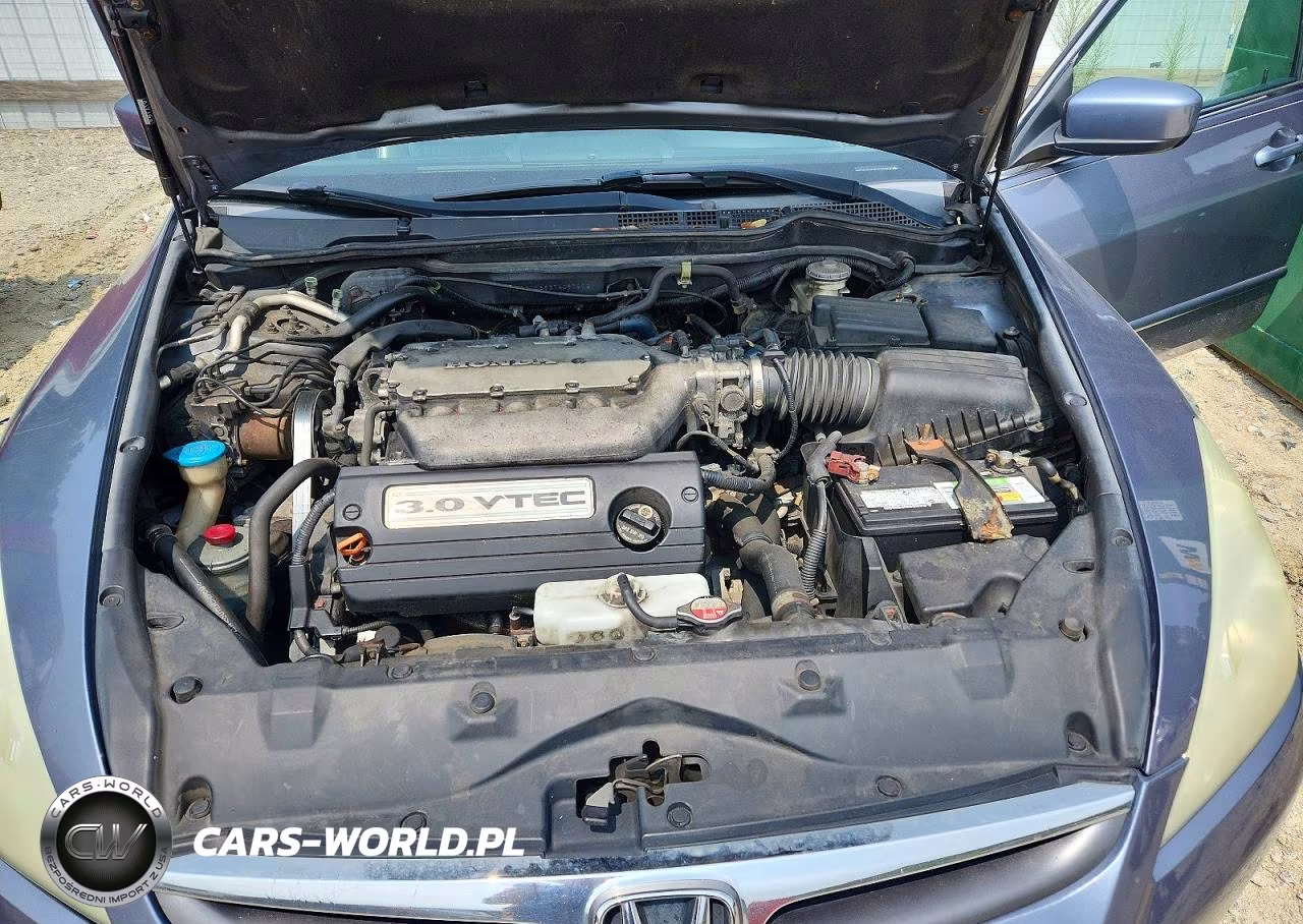 2007 Honda Accord Ex VIN:1HGCM66837A097802 - 11