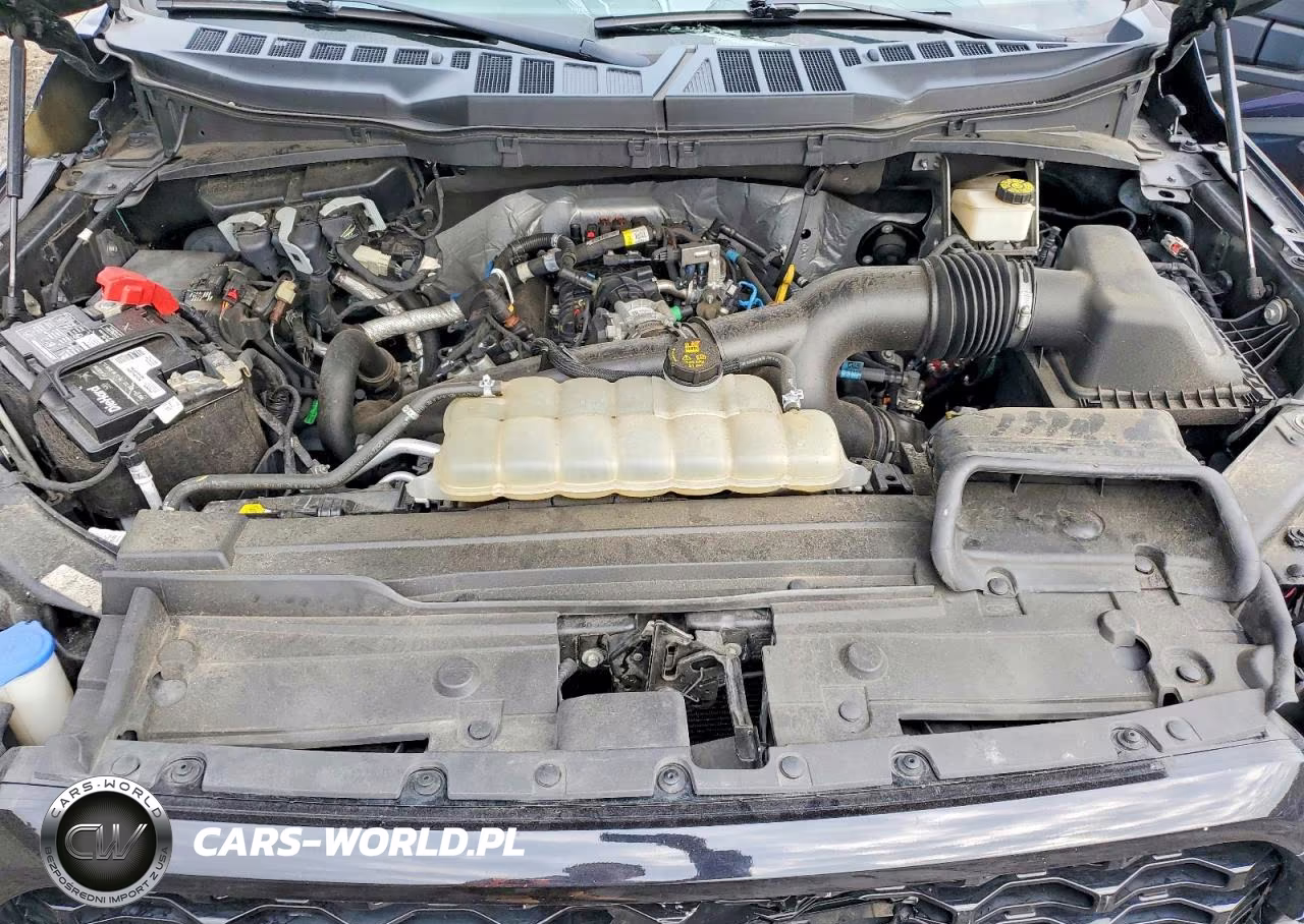 2021 Ford F150 Supercrew VIN:1FTEW1EP9MKD53993 - 11