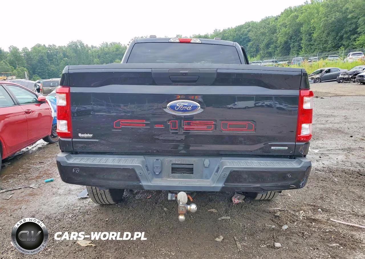 2021 Ford F150 Supercrew VIN:1FTEW1EP9MKD53993 - 6