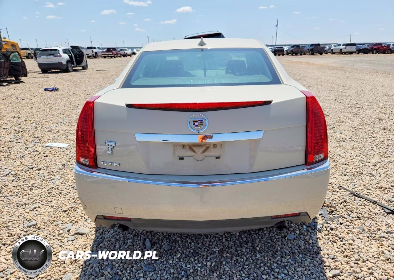 2010 Cadillac Cts Luxury Collection VIN:1G6DE5EG5A0143844 - 6