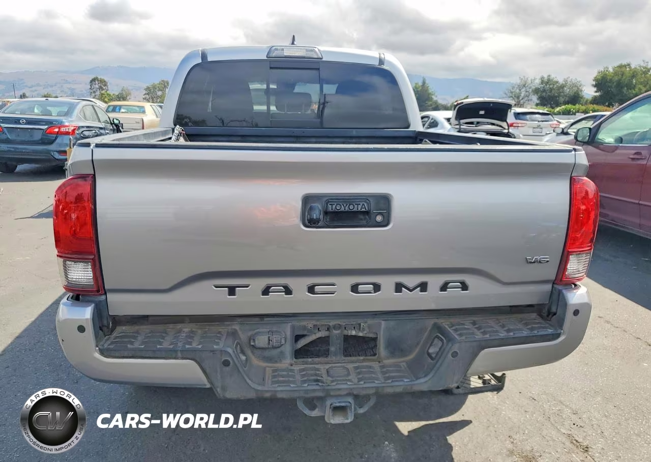 2019 Toyota Tacoma Trd Off-Road VIN:5TFCZ5AN8KX196306 - 6