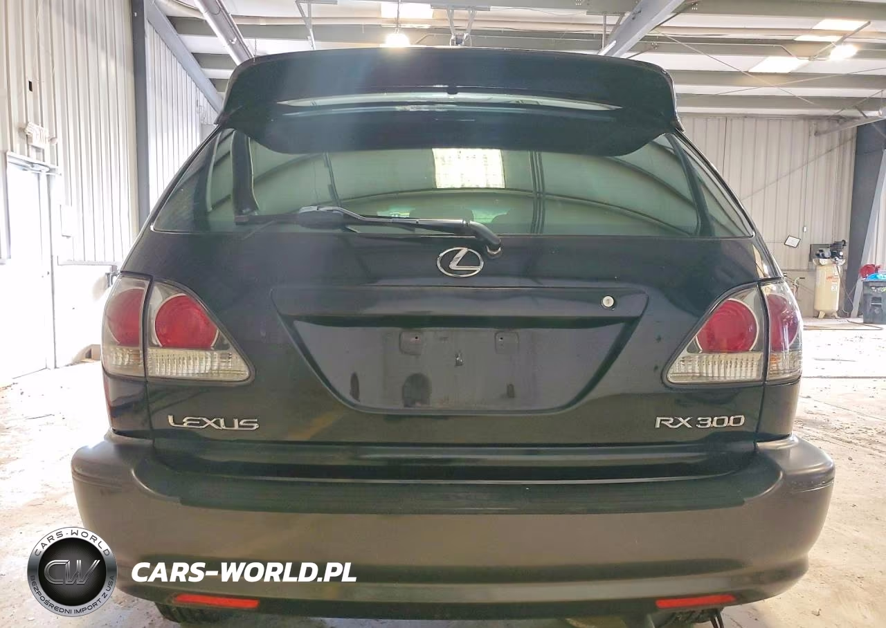 2001 Lexus Rx 300 VIN:JTJHF10U110211135 - 6
