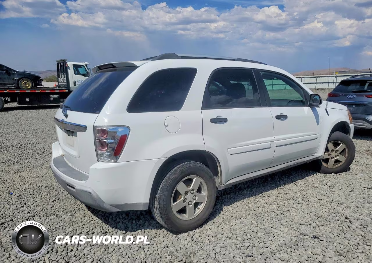 2005 Chevrolet Equinox Ls VIN:2CNDL13FX56130764 - 3